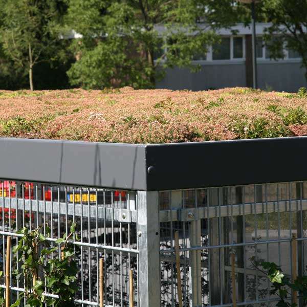Overdækninger og skure | Overdækninger til grønne tage | Sedum – længe leve biodiversiteten| Overdækninger og skure | Overdækninger til grønne tage | Sedum – længe leve biodiversiteten | image #1 |
