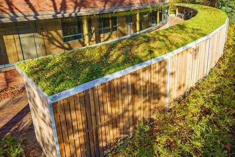 Cykelparkering i Holland med unikt design