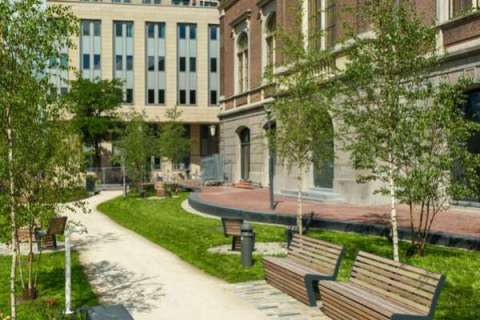 Campus Fryslân, Groningen