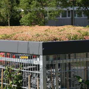 Overdækninger og skure | Overdækninger til grønne tage | Sedum – længe leve biodiversiteten | image #1|