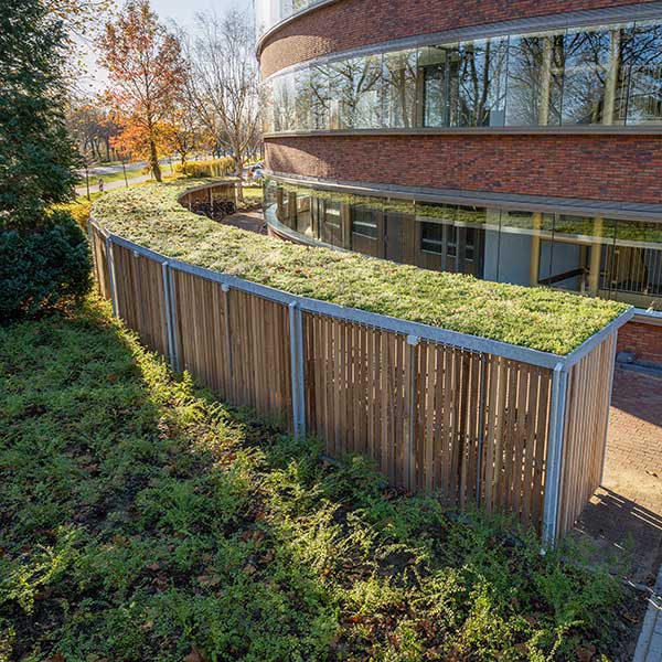 Cykelparkering i Holland med unikt design