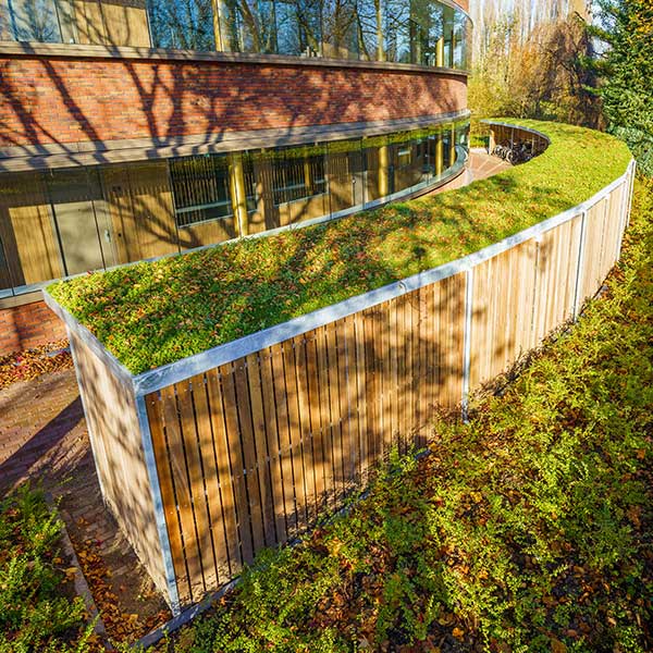 Cykelparkering i Holland med unikt design