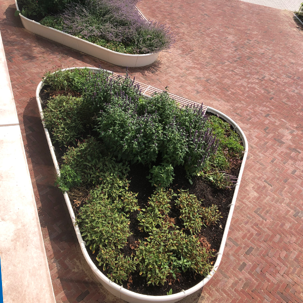 Et grønt og funktionelt udeområde hos virksomhed i Holland