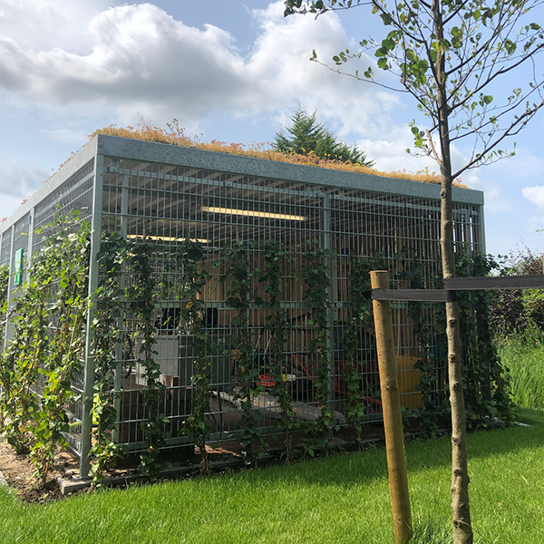 Et grønt og funktionelt udeområde hos virksomhed i Holland