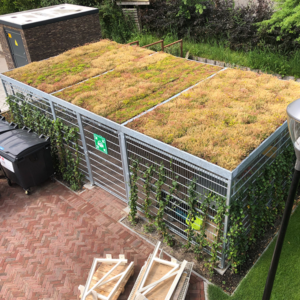 Et grønt og funktionelt udeområde hos virksomhed i Holland