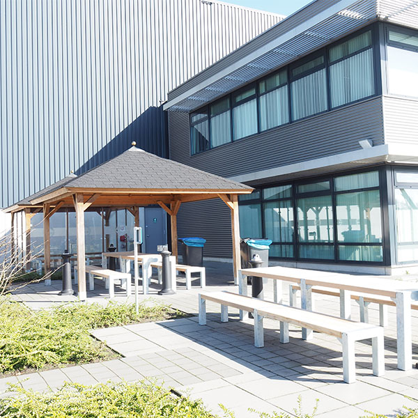 Solrig pause for medarbejderne hos Timberland