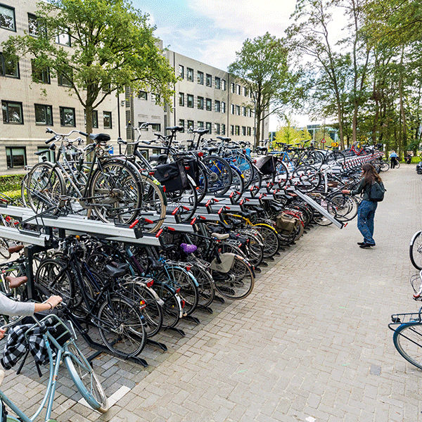 Storskala projekter – vi har prøvet det før!