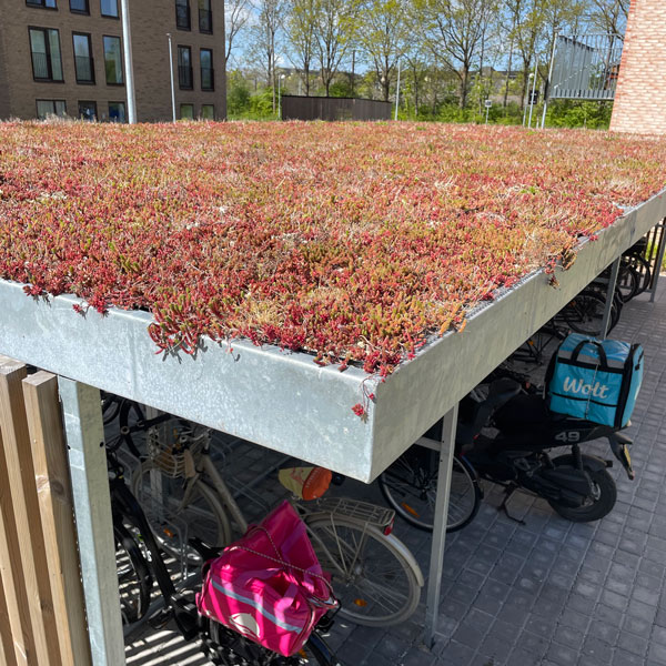 Spættevangen, Ishøj