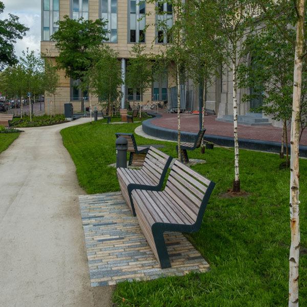 Campus Fryslân, Groningen