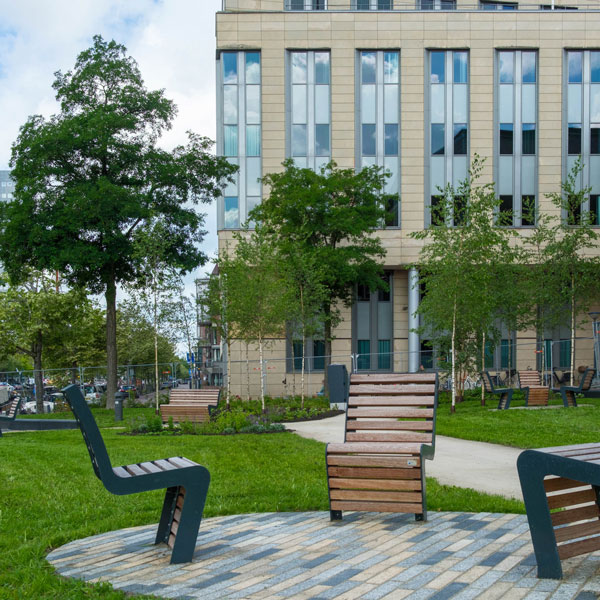 Campus Fryslân, Groningen