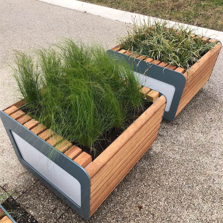 FalcoLinea plantekumme