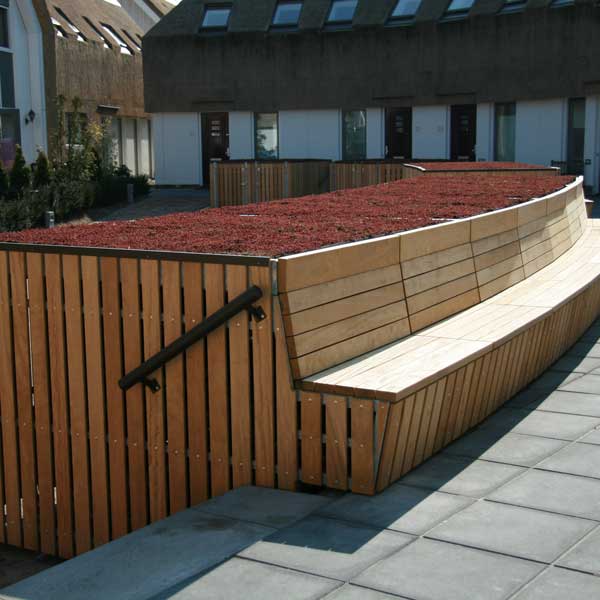 Sedum – længe leve biodiversiteten